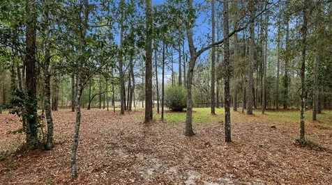12092 S Hyacinth Point Floral City FL 34436