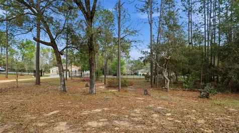 12092 S Hyacinth Point Floral City FL 34436