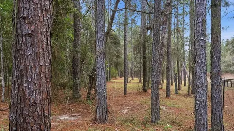 12092 S Hyacinth Point Floral City FL 34436