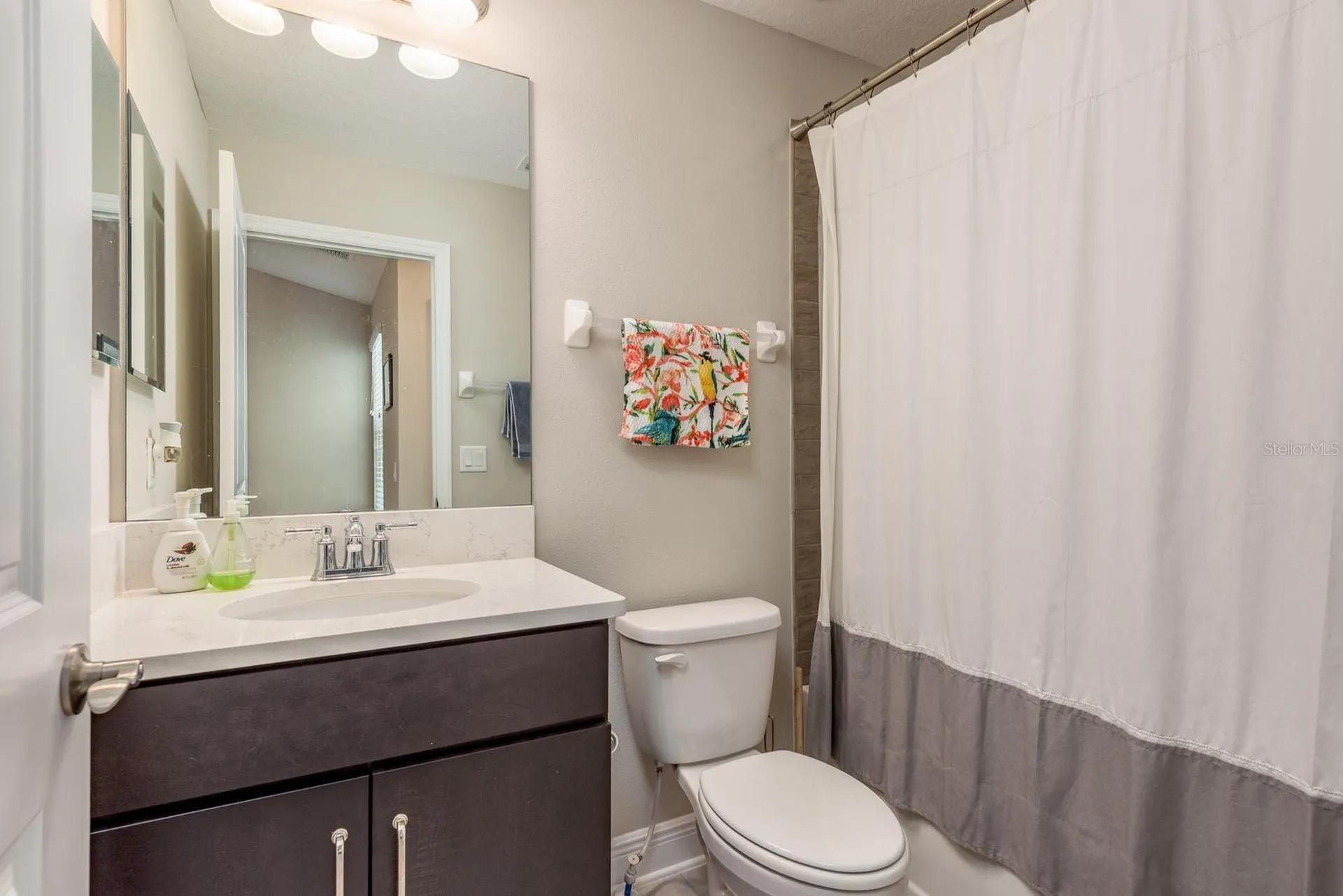 2442 Foggy Creek Circle Clearwater FL 33764