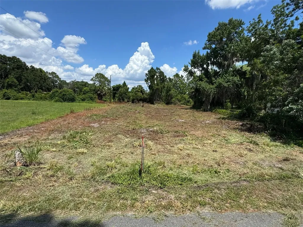 Cove Road Tavares FL 32778