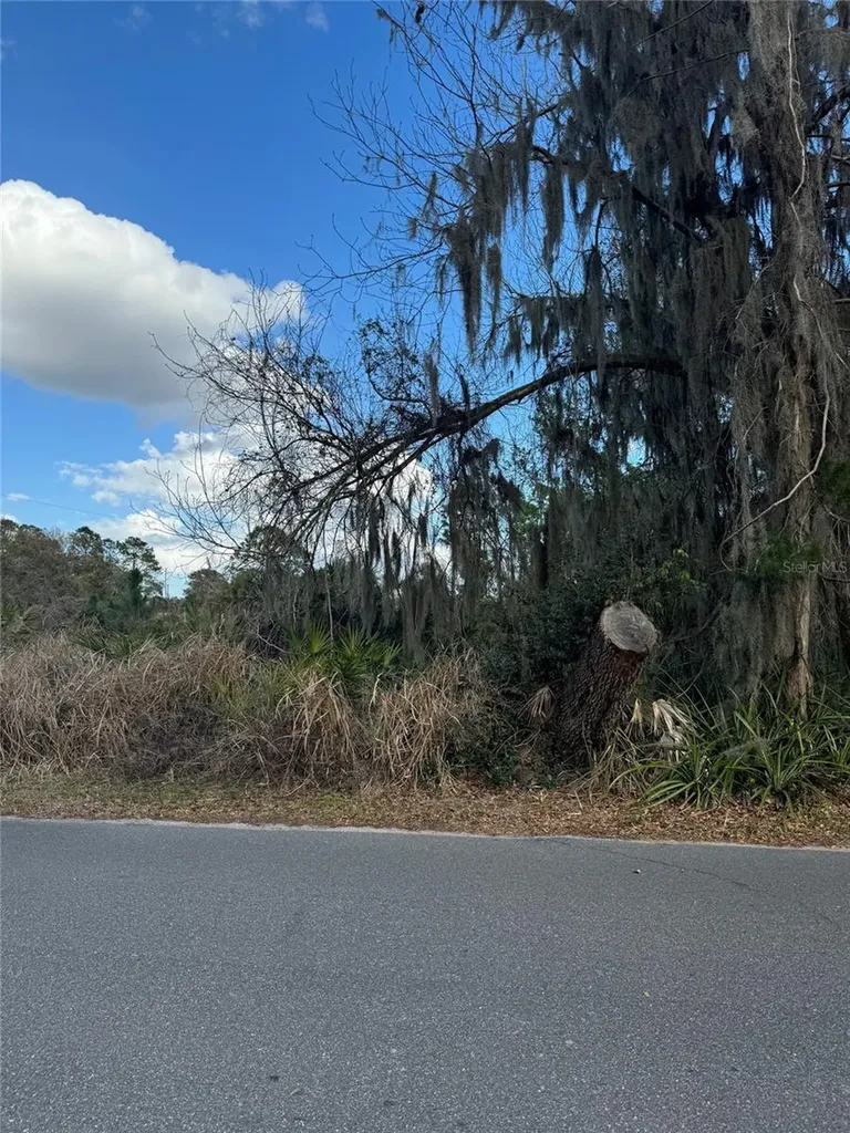 Cove Road Tavares FL 32778
