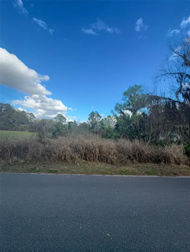Cove Road Tavares FL 32778