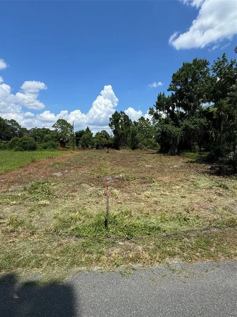 Cove Road Tavares FL 32778