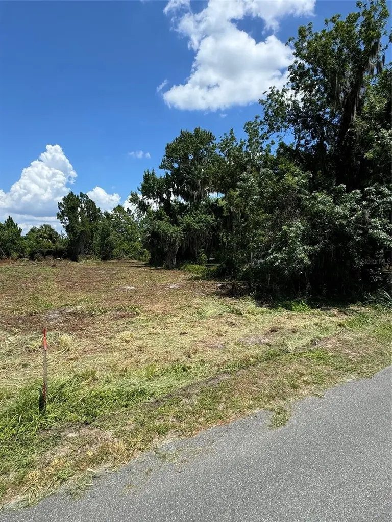 Cove Road Tavares FL 32778