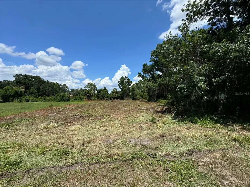 Cove Road Tavares FL 32778