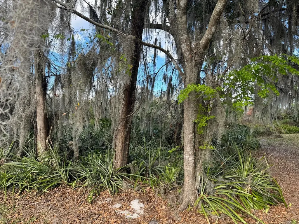 Cove Road Tavares FL 32778