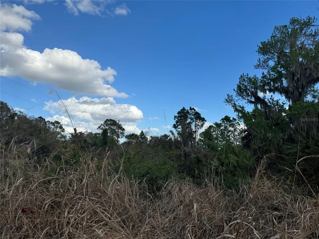 Cove Road Tavares FL 32778
