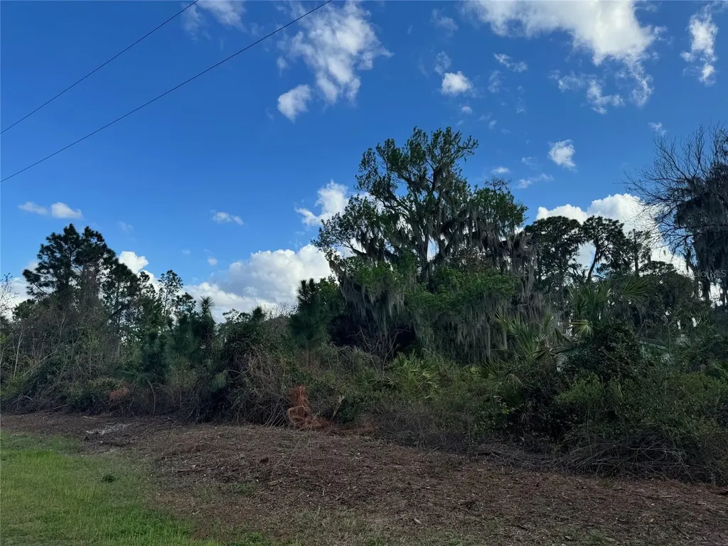 Cove Road Tavares FL 32778