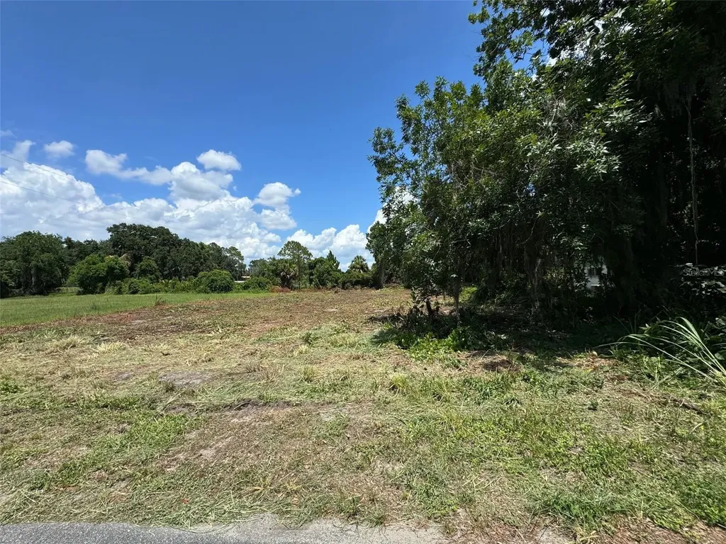 Cove Road Tavares FL 32778