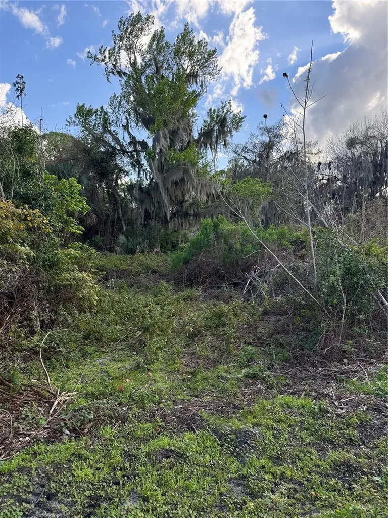 Cove Road Tavares FL 32778