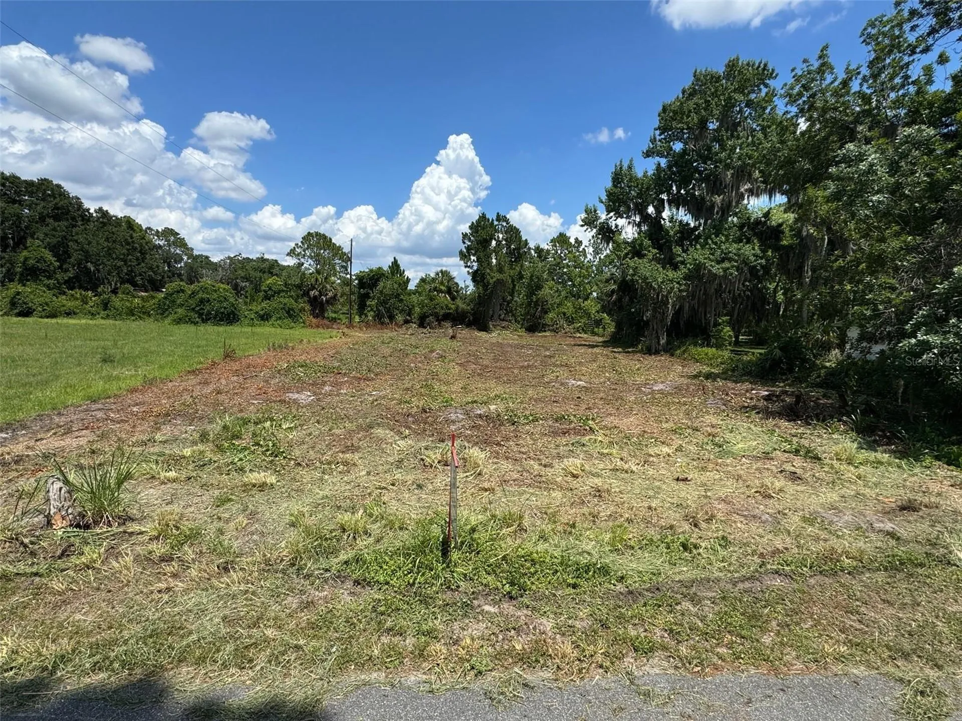 Cove Road Tavares FL 32778