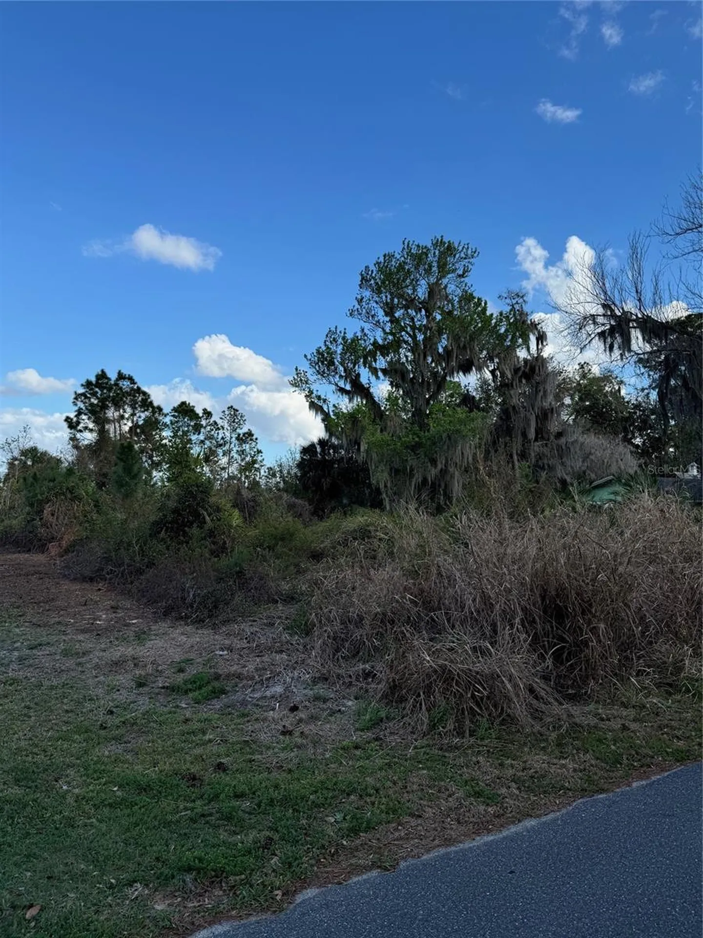 Cove Road Tavares FL 32778