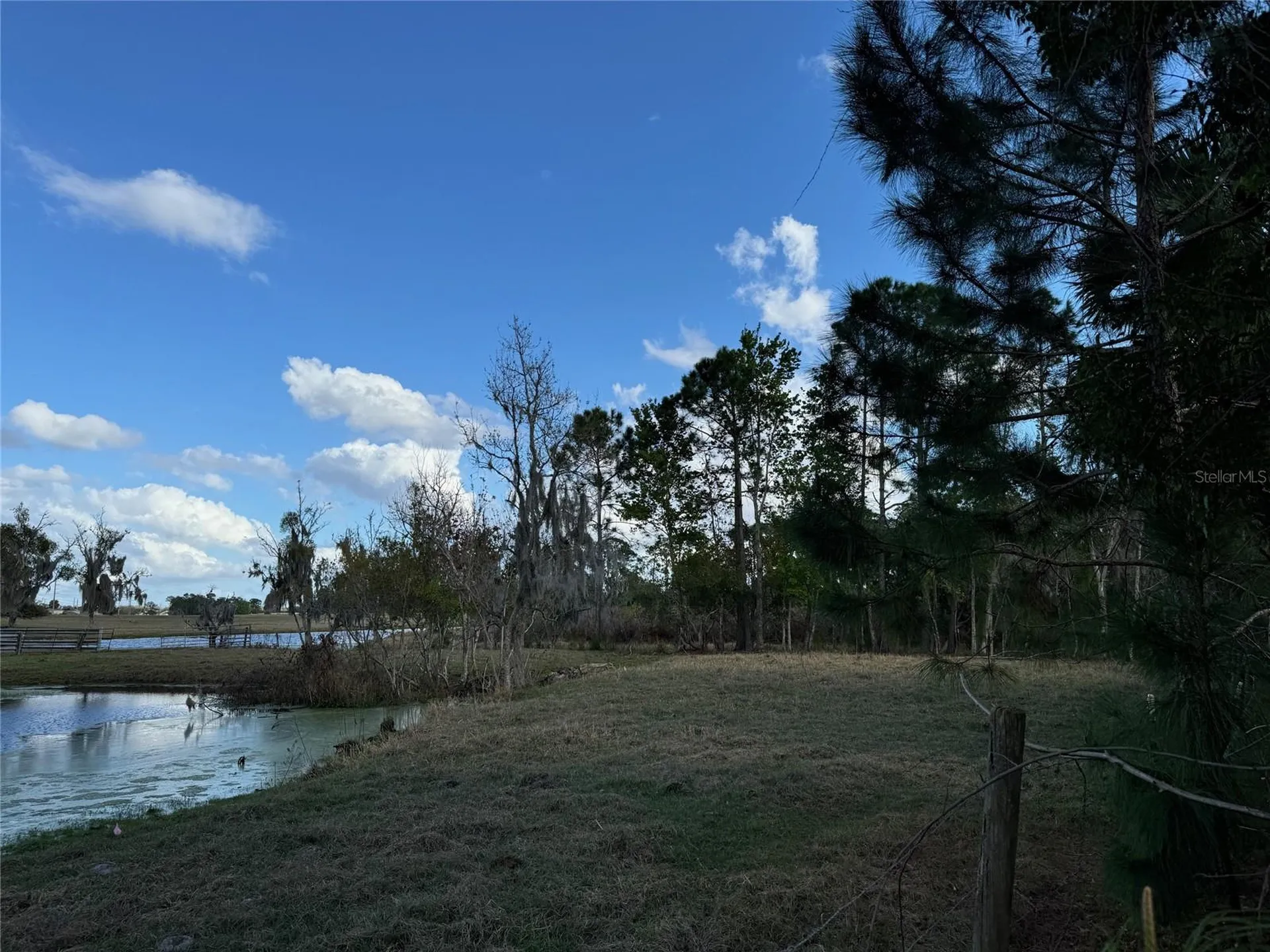 Cove Road Tavares FL 32778