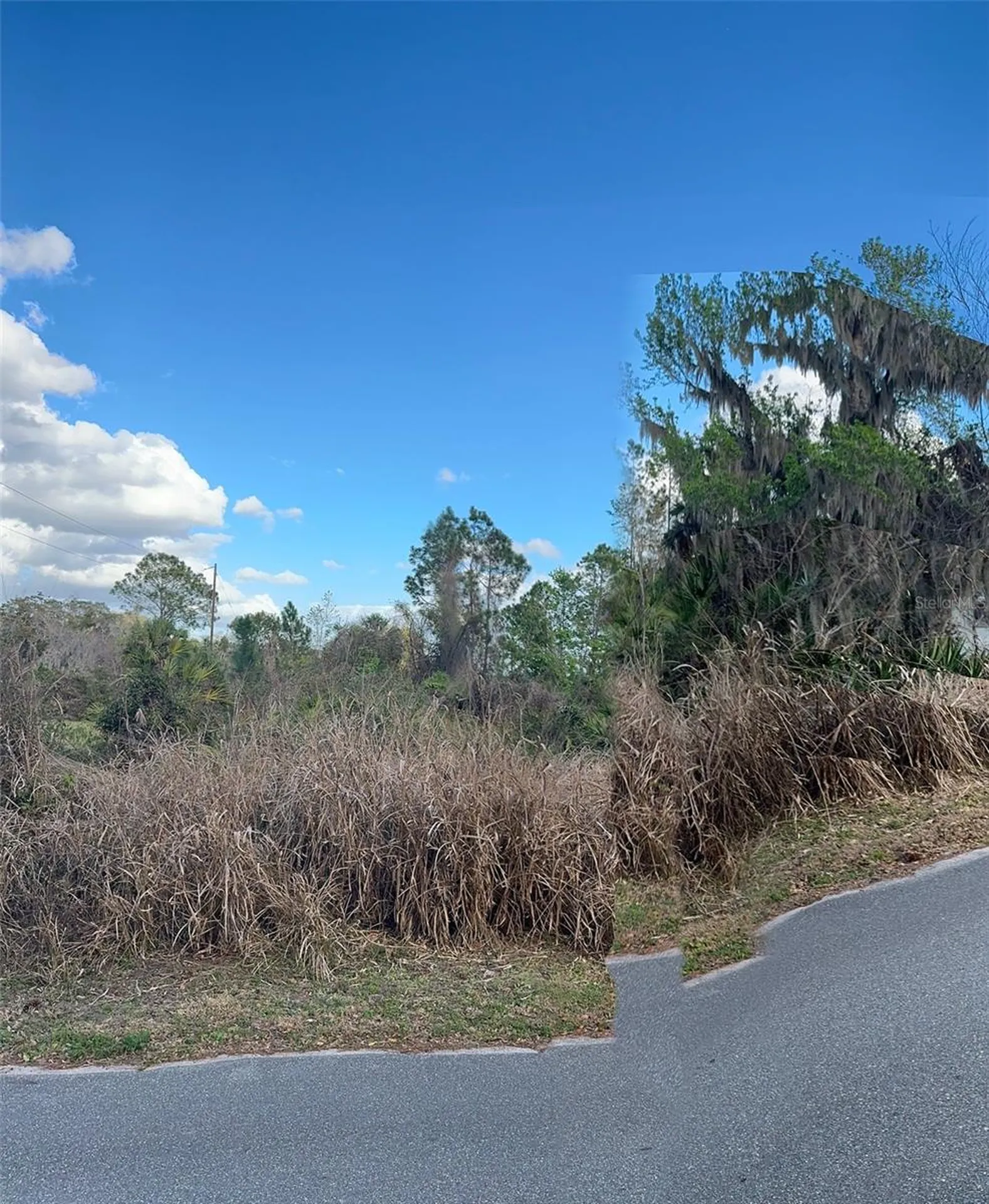 Cove Road Tavares FL 32778