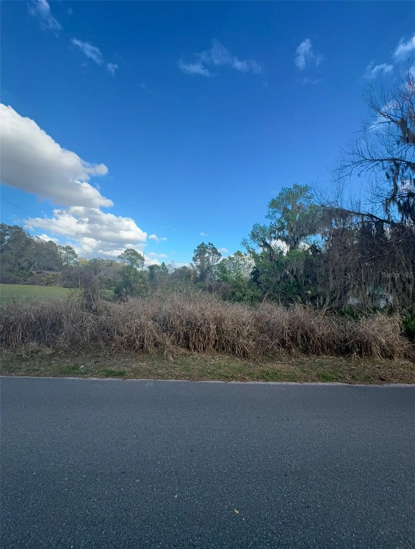 Cove Road Tavares FL 32778