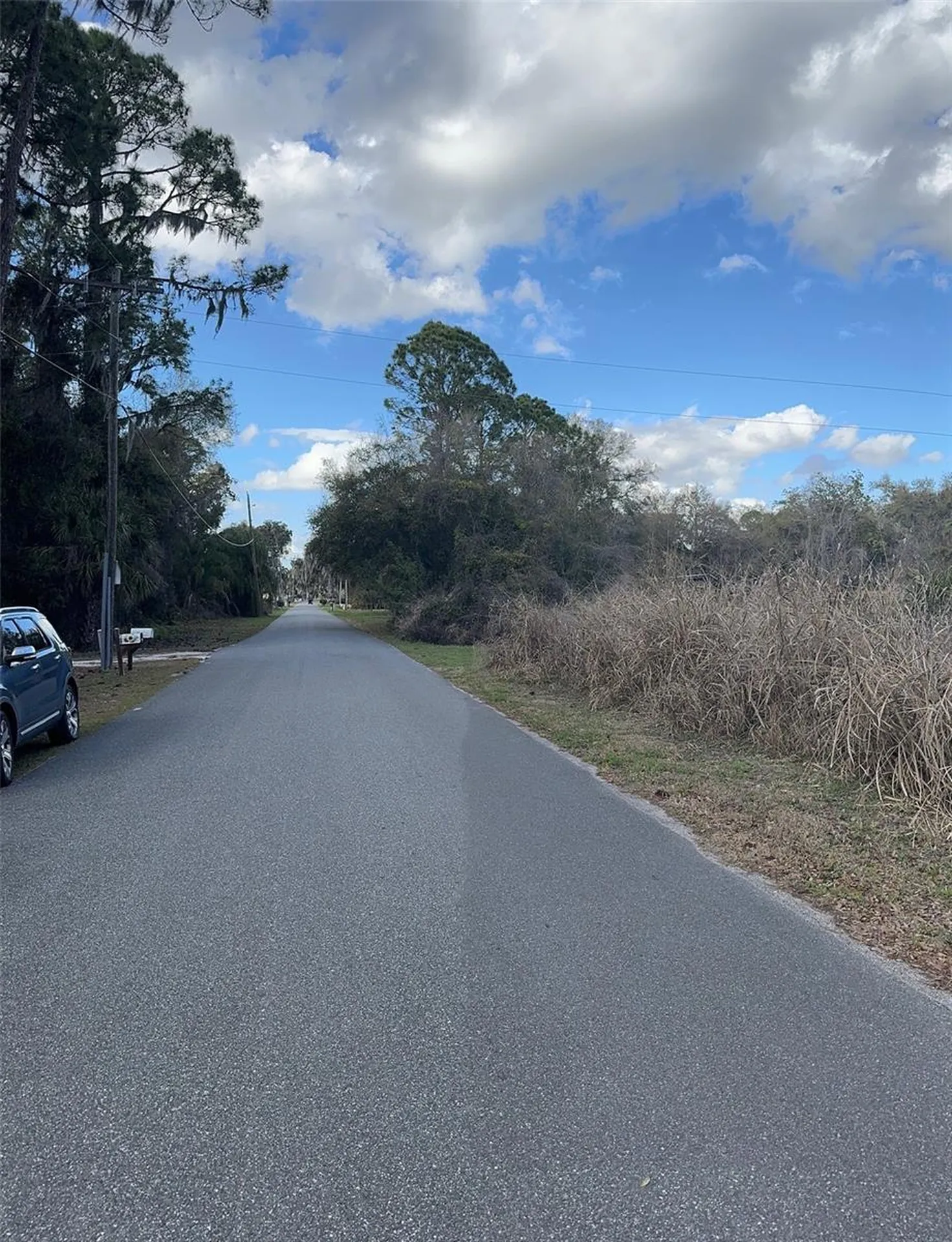Cove Road Tavares FL 32778