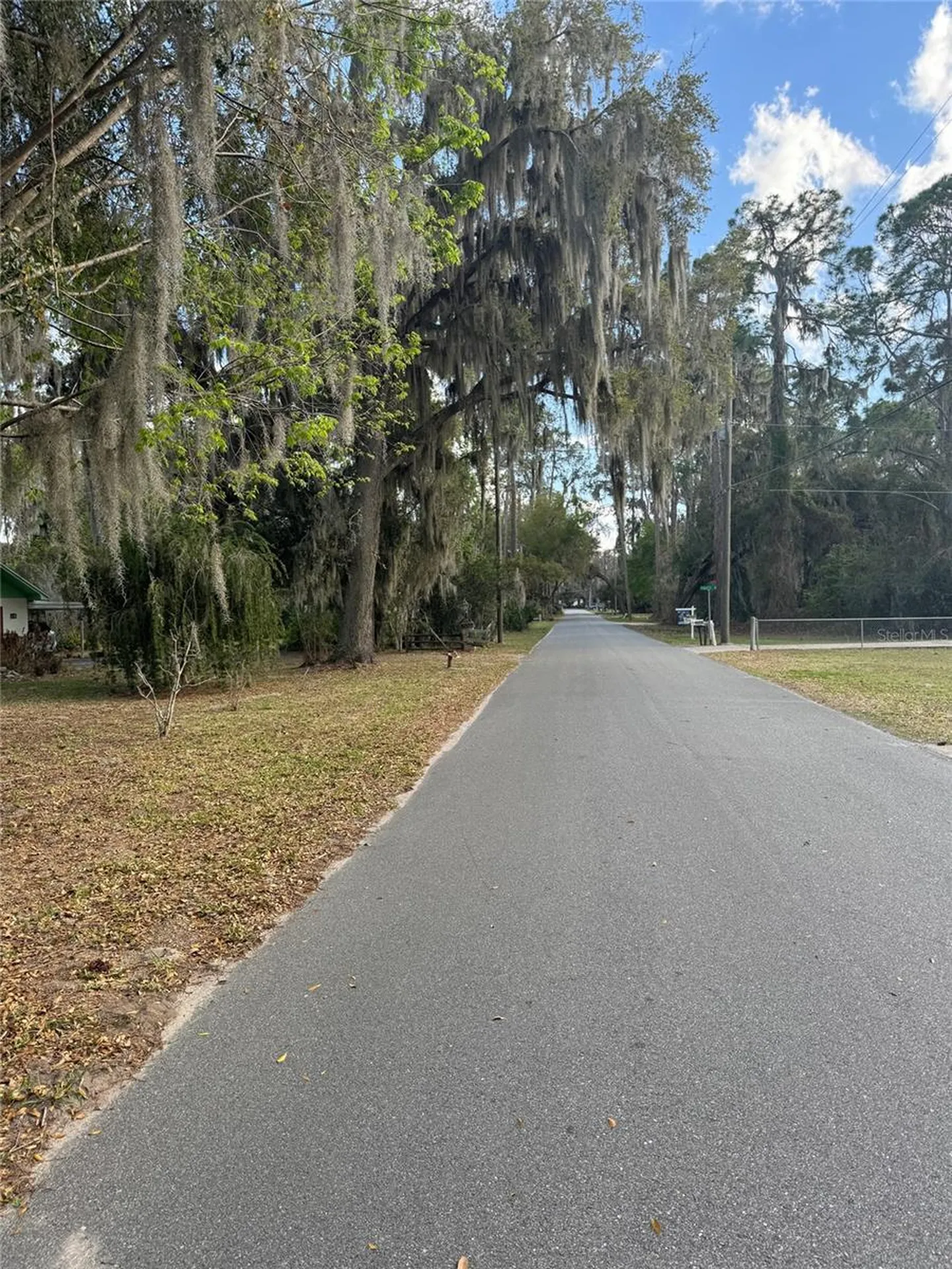 Cove Road Tavares FL 32778