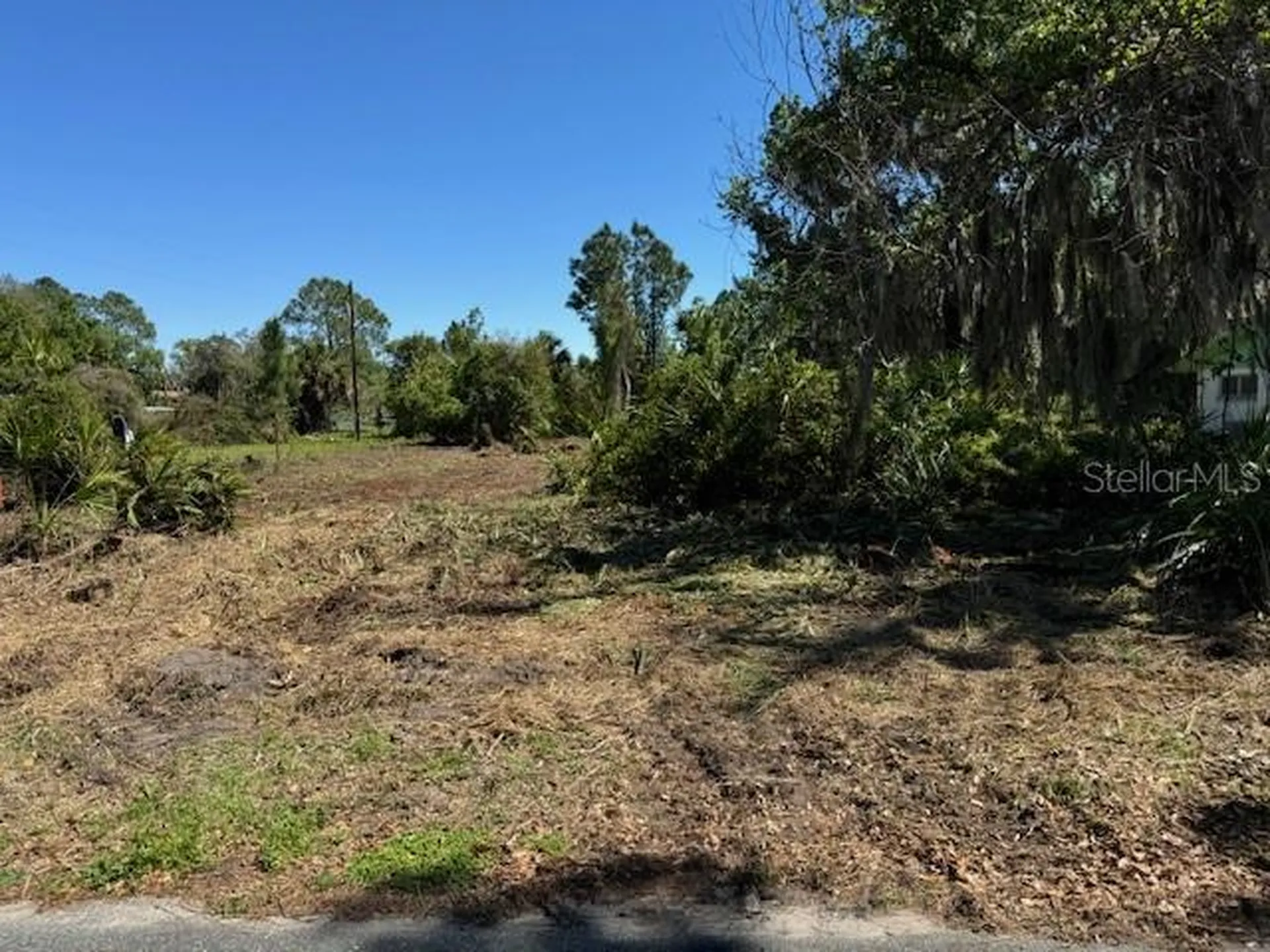 Cove Road Tavares FL 32778