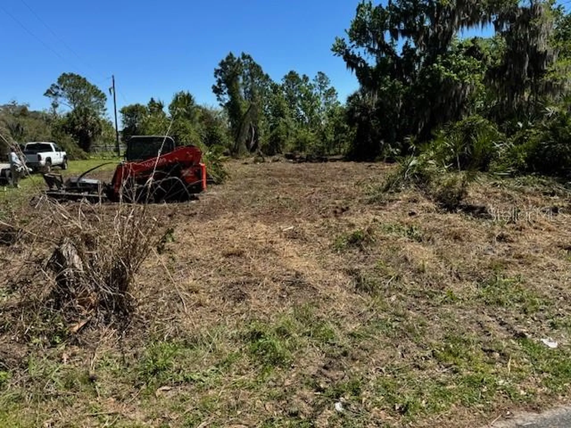 Cove Road Tavares FL 32778