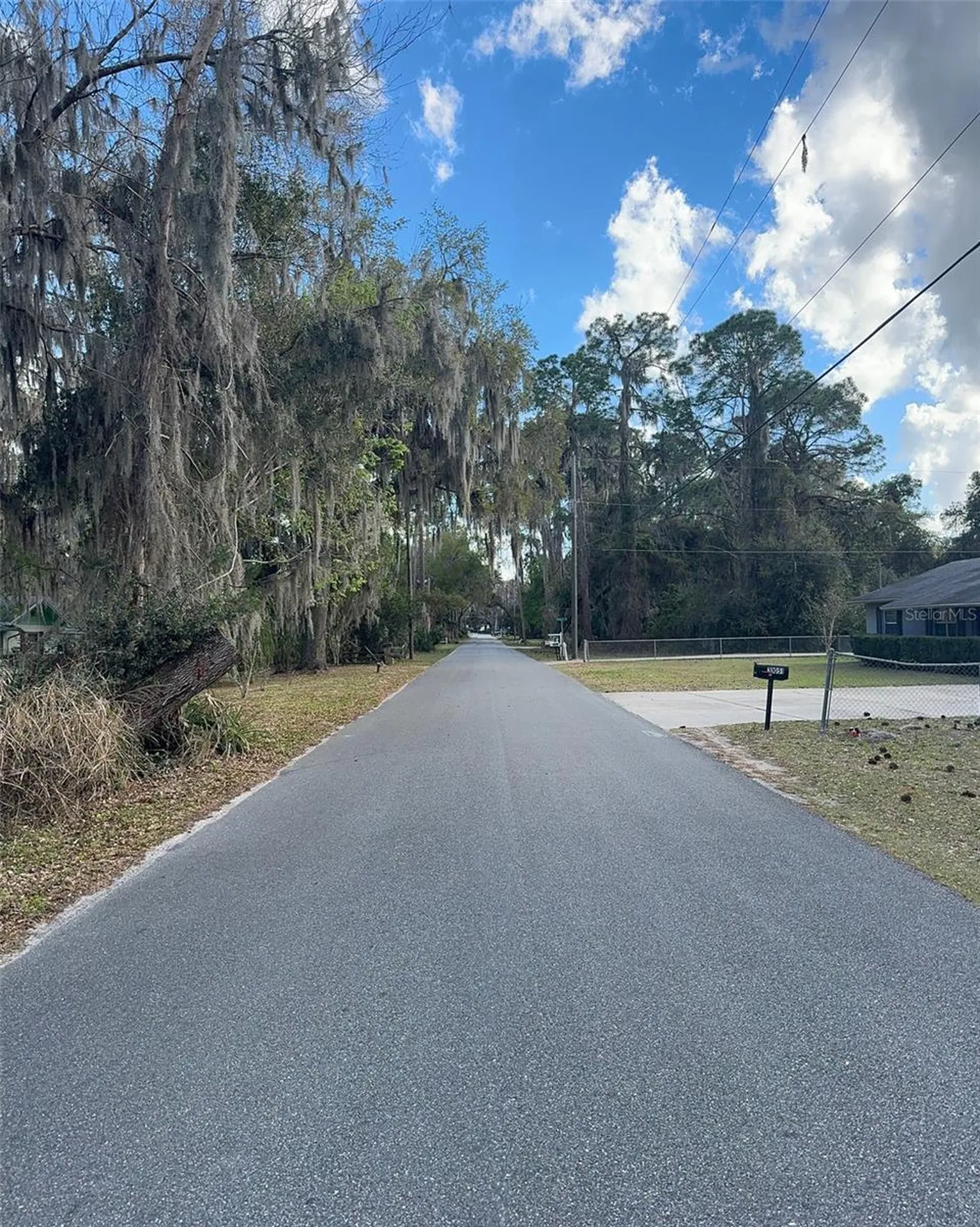 Cove Road Tavares FL 32778