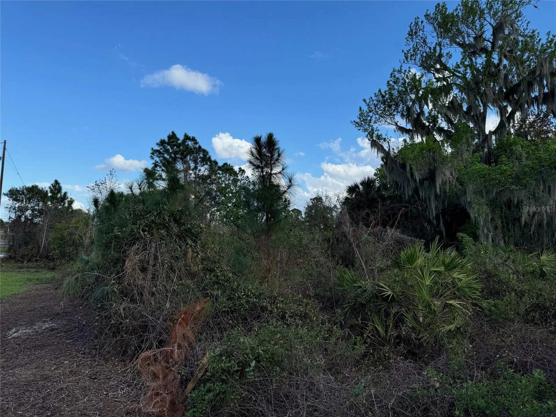 Cove Road Tavares FL 32778
