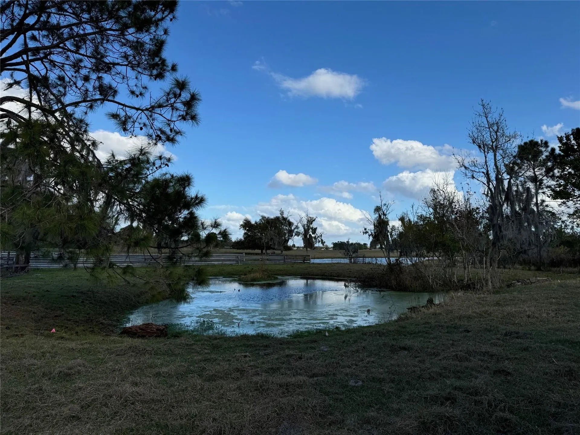 Cove Road Tavares FL 32778
