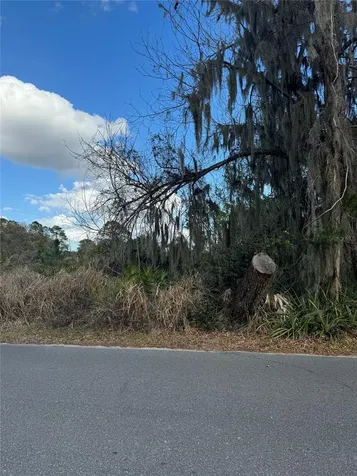 Cove Road Tavares FL 32778