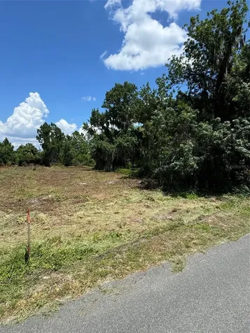 Cove Road Tavares FL 32778