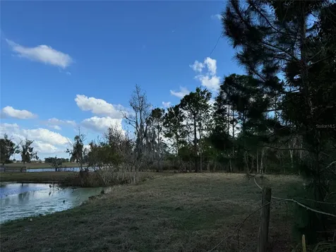 Cove Road Tavares FL 32778