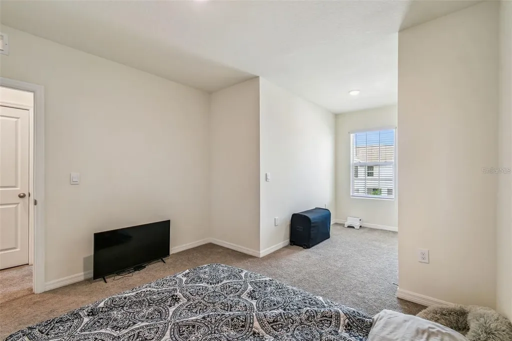 32505 Turtle Grace Loop Wesley Chapel FL 33545