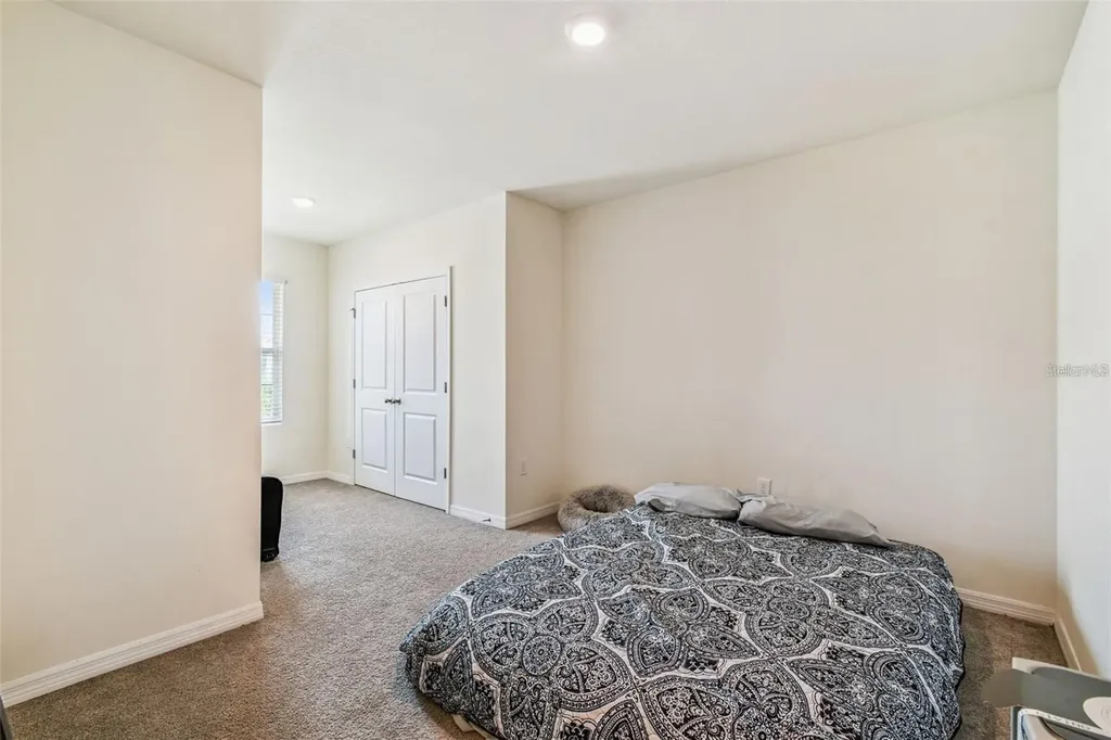 32505 Turtle Grace Loop Wesley Chapel FL 33545