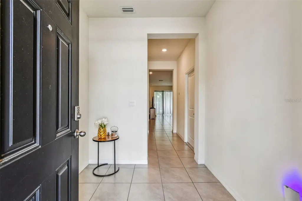 32505 Turtle Grace Loop Wesley Chapel FL 33545