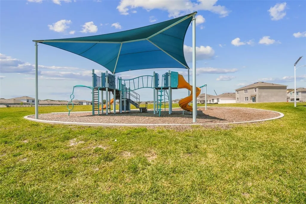 32505 Turtle Grace Loop Wesley Chapel FL 33545