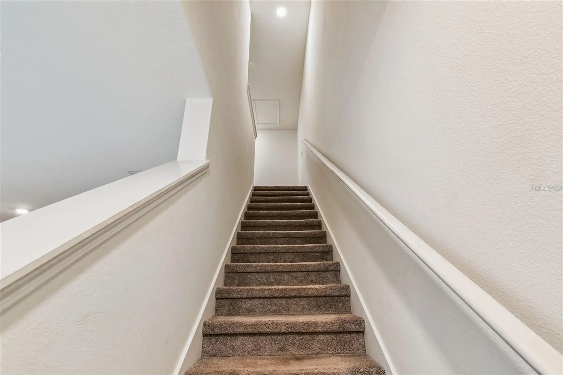 32505 Turtle Grace Loop Wesley Chapel FL 33545