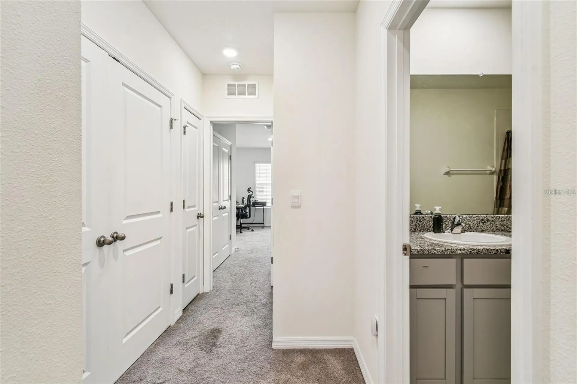 32505 Turtle Grace Loop Wesley Chapel FL 33545