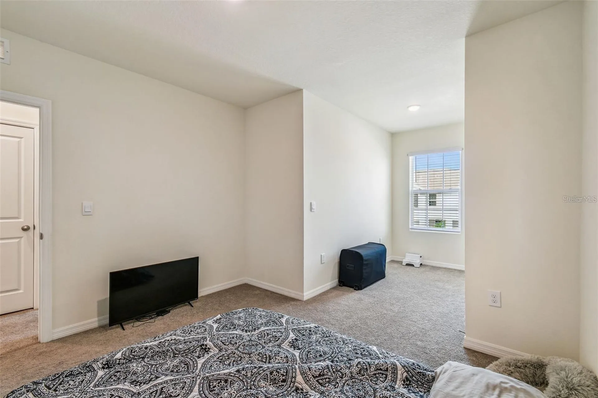 32505 Turtle Grace Loop Wesley Chapel FL 33545