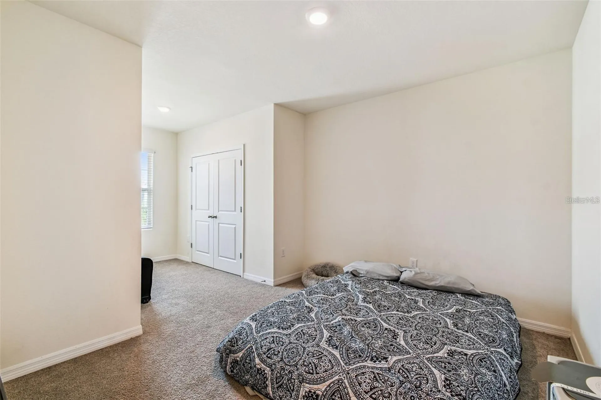 32505 Turtle Grace Loop Wesley Chapel FL 33545