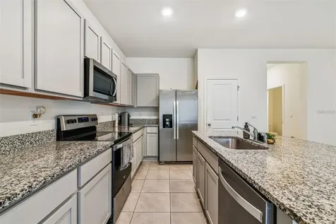 32505 Turtle Grace Loop Wesley Chapel FL 33545