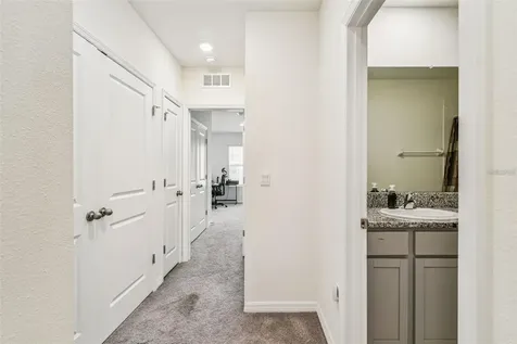 32505 Turtle Grace Loop Wesley Chapel FL 33545