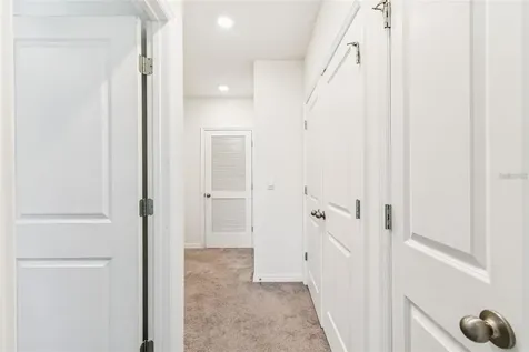 32505 Turtle Grace Loop Wesley Chapel FL 33545