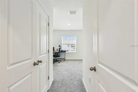 32505 Turtle Grace Loop Wesley Chapel FL 33545
