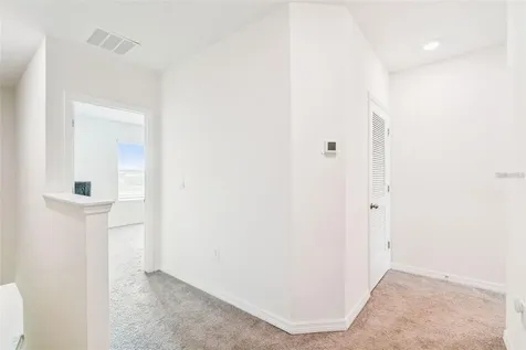 32505 Turtle Grace Loop Wesley Chapel FL 33545