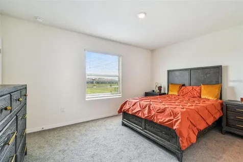 32505 Turtle Grace Loop Wesley Chapel FL 33545