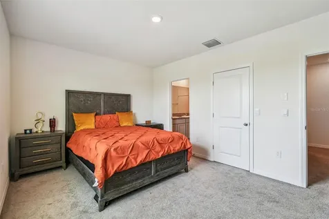 32505 Turtle Grace Loop Wesley Chapel FL 33545