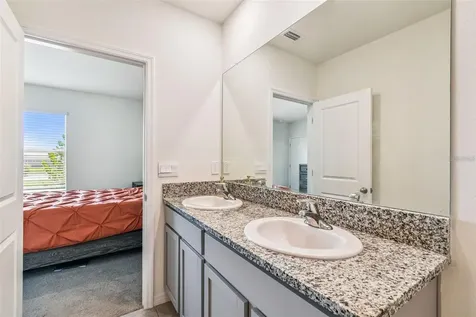 32505 Turtle Grace Loop Wesley Chapel FL 33545