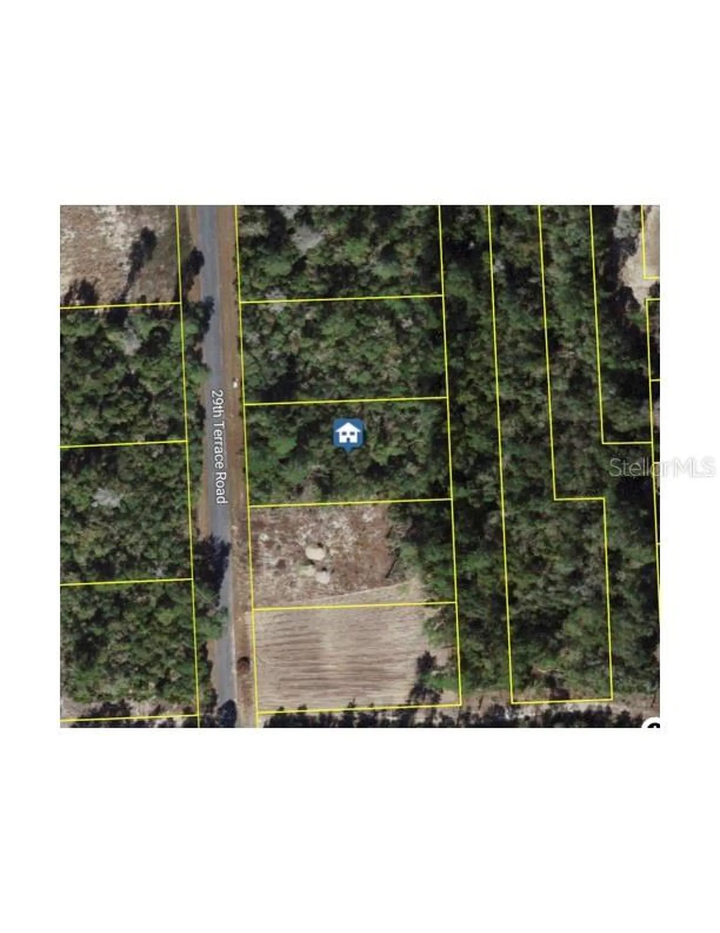 15243 SW 29th Terrace Road Ocala FL 34473