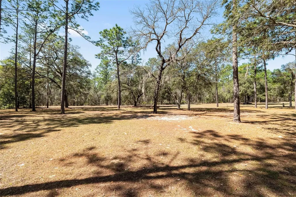 4060 SW 166th Court Ocala FL 34481