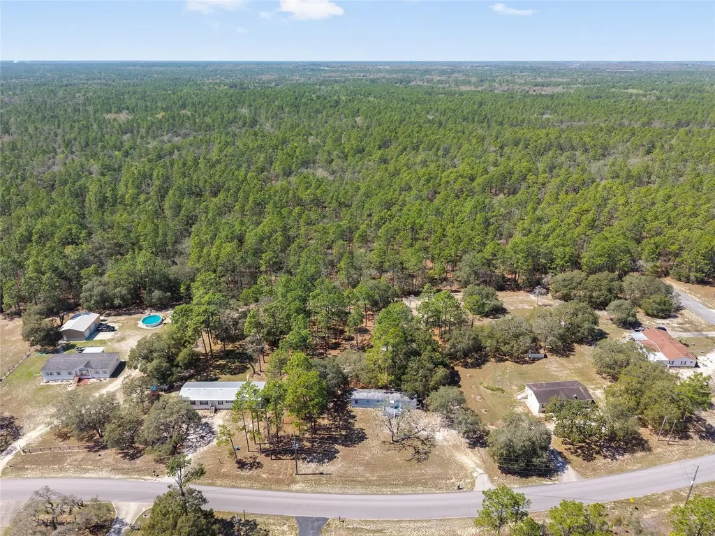 4060 SW 166th Court Ocala FL 34481