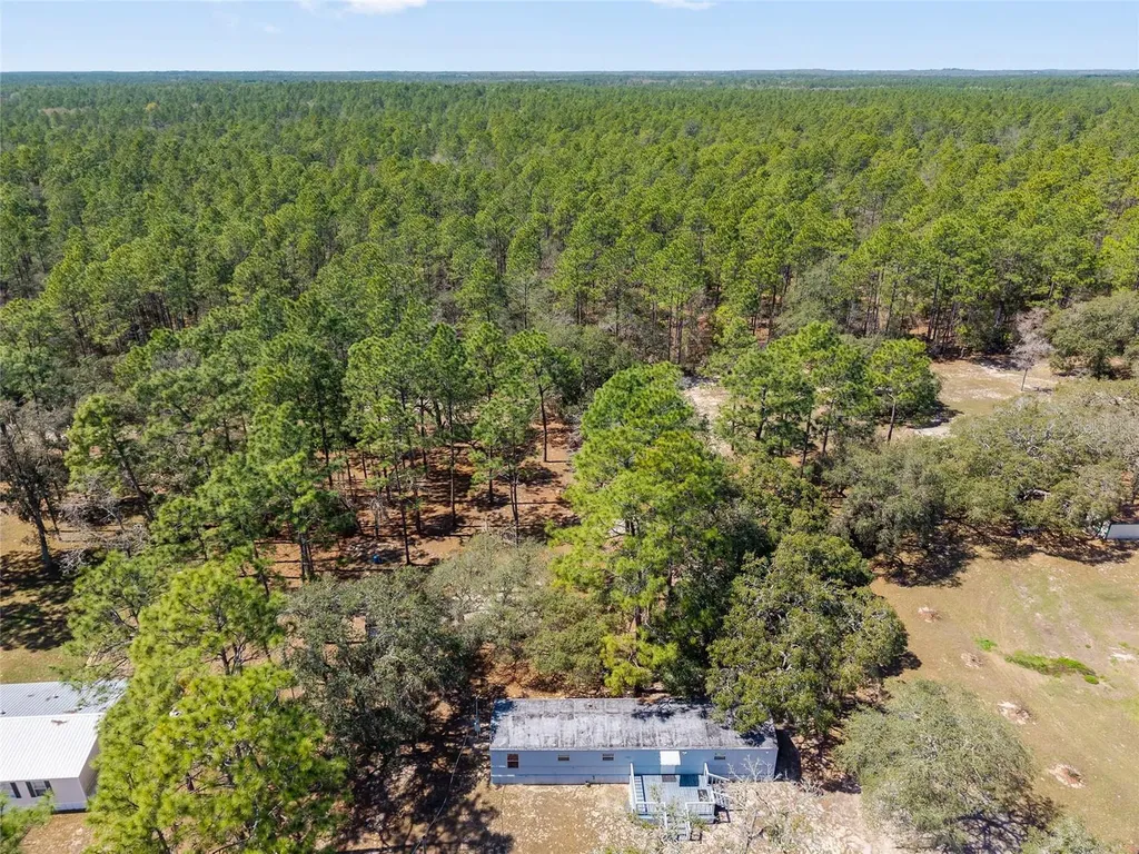 4060 SW 166th Court Ocala FL 34481